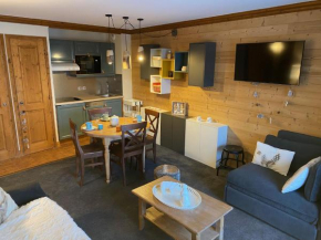 CONVIVIAL appartement COSY MONTAGNE ARC 1950